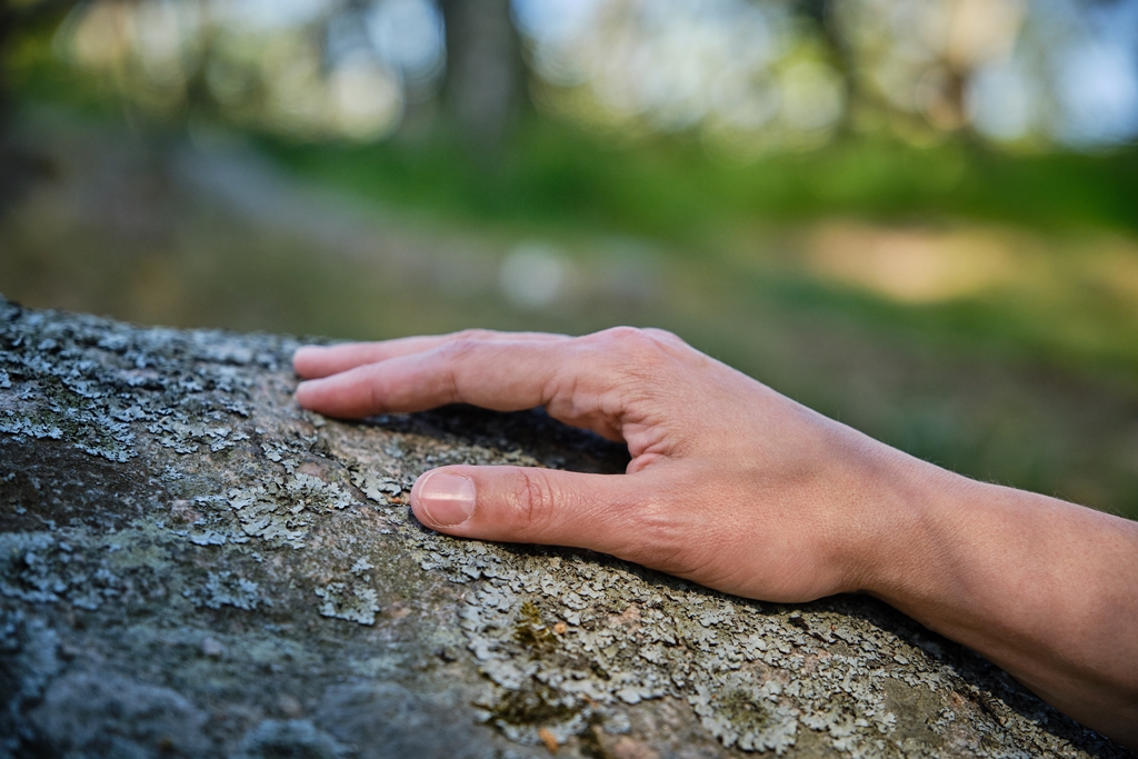 Mindfulness-based therapy is a gentle approach emphasizing presence, like a hand resting on a rock with lichen.