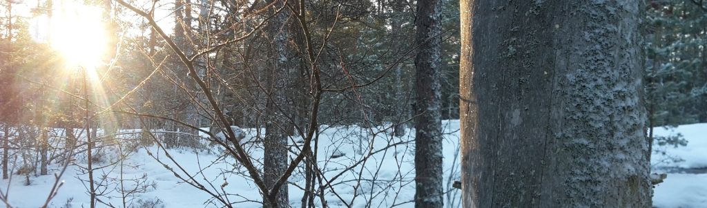 Henkinen & hengellinen terapiassa