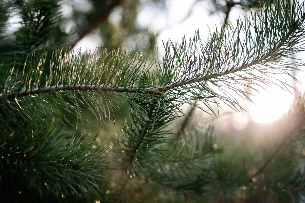 Henkinen ja hengellinen saavat myös tulla terapiaan.