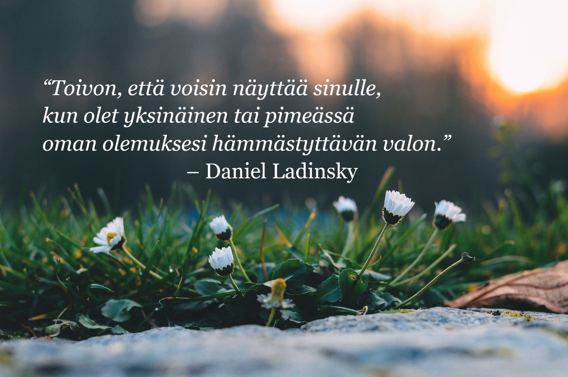 "Toivon, että voisin näyttää sinulle, kun olet yksinäinen tai pimeässä oman olemukseksi hämmästyttävän valon." - Daniel Ladinsky