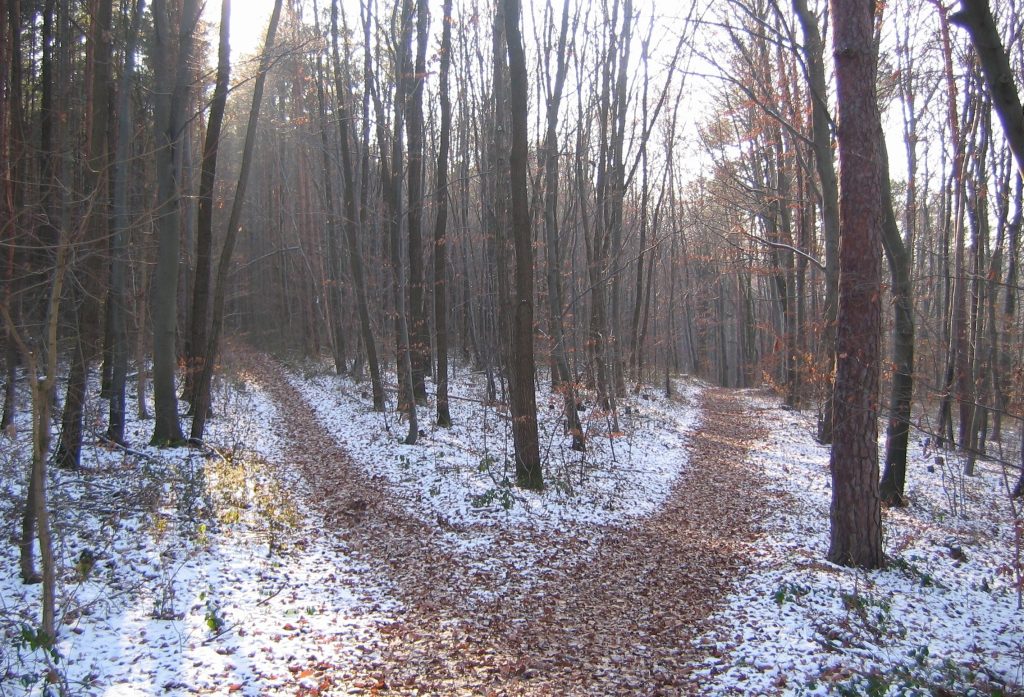 Polun haara - mitä suuntia valita, että henkinen ohittaminen ei tulisi ongelmaksi?