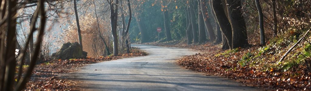 Henkisyys ilman ihmisyyden ohittamista